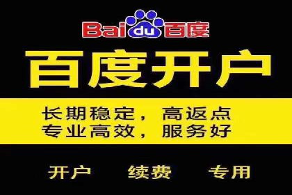 百度推广排名案例报告：某行业巨头如何运用其占领市场高地